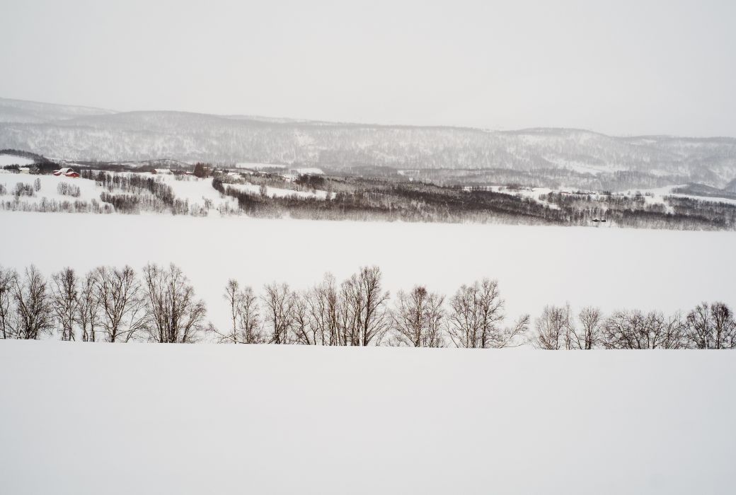 Snowshoes for Arctic Regions