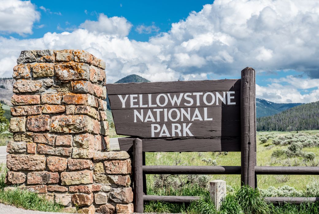 Snowshoes - Yellowstone National Park